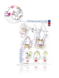 OHRAKUPUNKTUR Tiere
