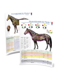 TAFEL Pferd 1 & 2