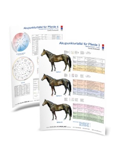 TAFEL Pferd 3 & 4