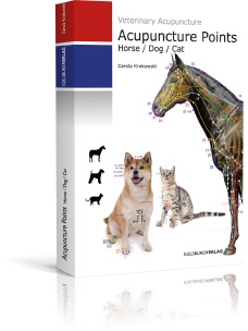 ACUPUNCTURE POINTS  Horse/Dog/Cat