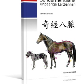 SONDERMERIDIANE - UNPAARIGE LEITBAHNEN